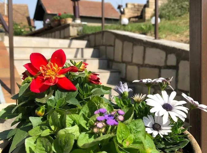Na Vinarske Stezce Velké Bílovice